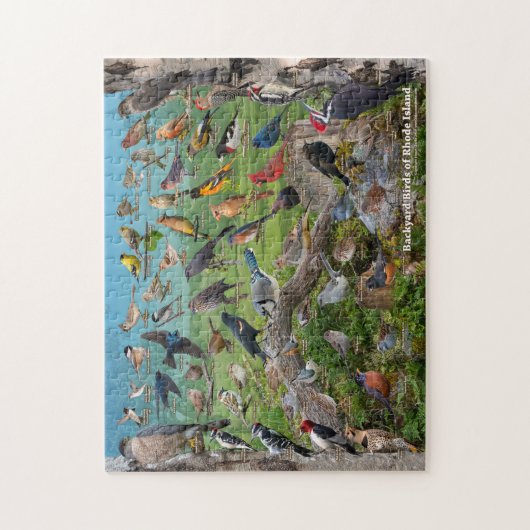 Backyard Birds of Rhode Island ジグソーパズル (縦)