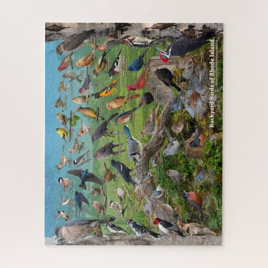 Backyard Birds of Rhode Island ジグソーパズル (縦)