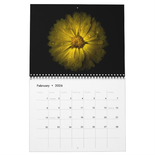 Backyard Flowers 10 Color Version カレンダー (2月 2026)