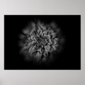 Backyard Flowers In Black And White No 54 Flow ポスター (正面)