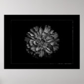 Backyard Flowers In Black & White No 79 Border ポスター (正面)
