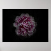 Backyard Flowers No 115 Color Version ポスター (正面)