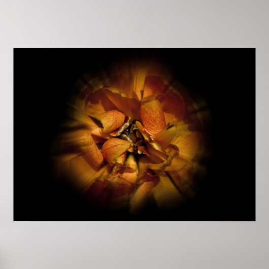 Backyard Flowers No 80 Color Flow Version ポスター (正面)