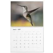 Backyard Hummingbirds 11インチx 14.25インチカレンダー カレンダー (3月 2027)