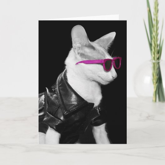 Bad Boy Cat in Shades カード (正面)