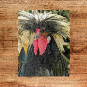 Bad Hair Chickenの写真 ジグソーパズル