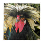 Bad Hair Chickenの写真 タイル (正面)