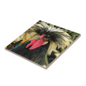 Bad Hair Chickenの写真 タイル (側面)