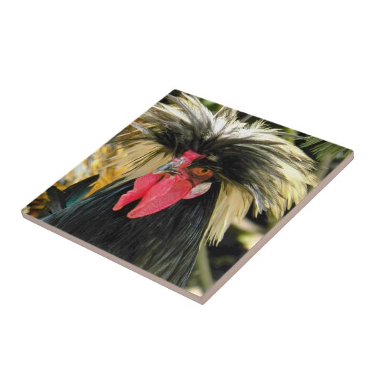 Bad Hair Chickenの写真 タイル (側面)