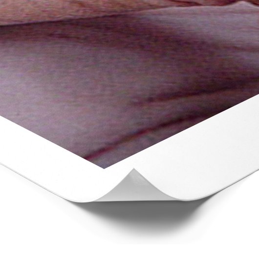 "Bad Hair Day" ポスター (角)