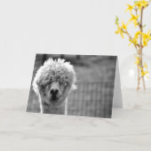 Bad Hair Day - Alpaca Card カード (黄色い花)