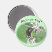 Bad Hair Day Fly Coordinating Items マグネット (正面/裏面)