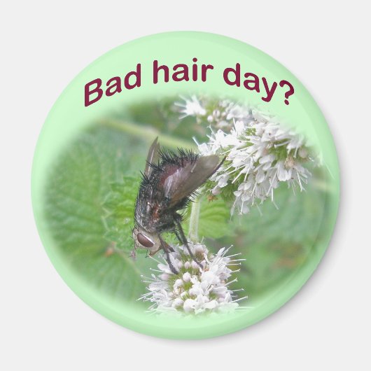Bad Hair Day Fly Coordinating Items マグネット (正面)
