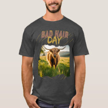 Bad Hair Day-Hochlandrind mit wilder Frisur