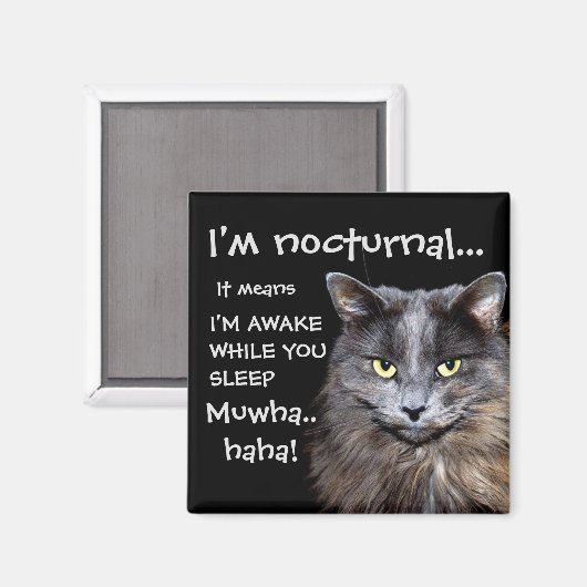 Badass Cats - 「夜行性だ」 マグネット (正面/裏面)