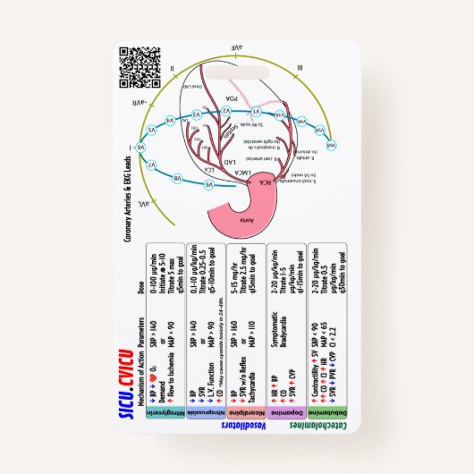 Badge バッジ (裏面)