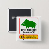 Badge - Province de Luxembourg UNE ARDEUR D'AVANCE 缶バッジ (正面&裏面)
