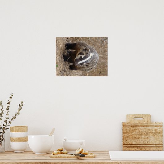 Badger Approach Poster ポスター (キッチン)