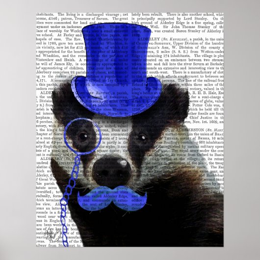 Badger with Blue Top Hat and Moustache ポスター (正面)