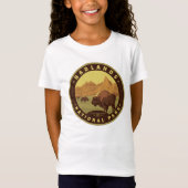 Badlands National Park Tシャツ (正面)