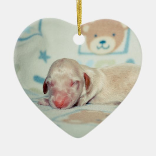 Baeの生まれたばかりのなLovebugdoxies子犬の記念品 セラミックオーナメント (正面)