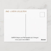 BAE-CATION #1はがき ポストカード (裏面)