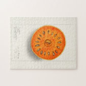 Bael (Aegle Marmelos)フルーツウォーター絵画カラー ジグソーパズル (横)