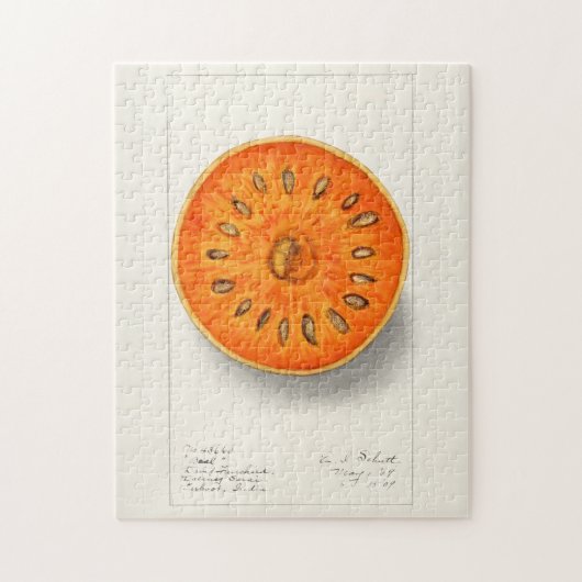 Bael (Aegle Marmelos)フルーツウォーター絵画カラー ジグソーパズル (縦)