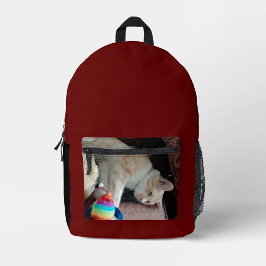 Bagpackキッズ新学期印刷バックパック プリントバックパック (正面)