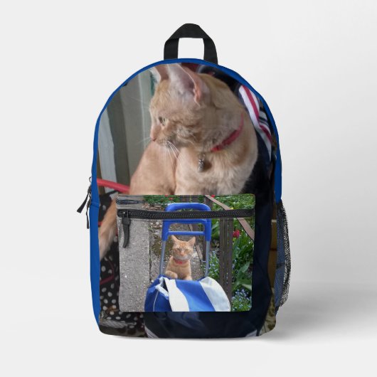 Bagpackキッズ新学期印刷バックパック プリントバックパック (正面)