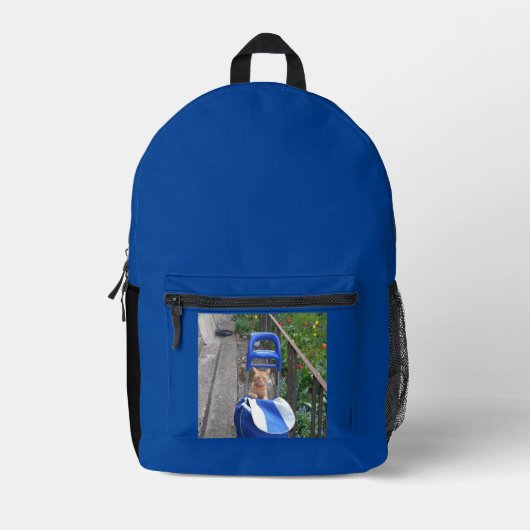 Bagpackキッズ新学期印刷バックパック プリントバックパック (正面)