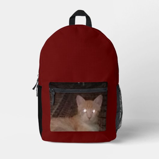 Bagpackキッズ新学期印刷バックパック プリントバックパック (正面)