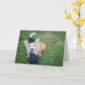 Bagpipe Corgi誕生日グリーティングカード カード (黄色い花)