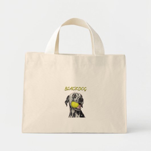 Bags ミニトートバッグ (正面)