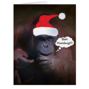 BAHの詐欺!!! クリスマスカード