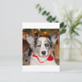 Bahの詐欺!!! ポストカード (スタンド正面)