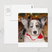 Bahの詐欺!!! ポストカード (正面/裏面)