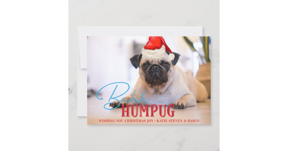 Bah Humpugのパグ犬のおもしろいでカスタムなクリスマスの写真 シーズンカード Zazzle Co Jp