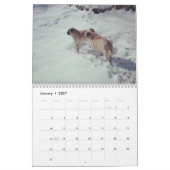 Bah Humpugの明るい及びバラ色の2016カレンダー カレンダー (1月 2027)