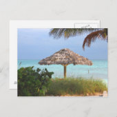 Bahamaのビーチの楽園 ポストカード (正面/裏面)