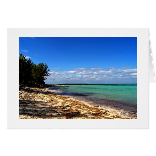 Bahamaの時 (正面横)