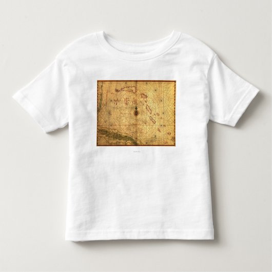 BahamasPanoramic MapBahamas トドラーTシャツ (正面)