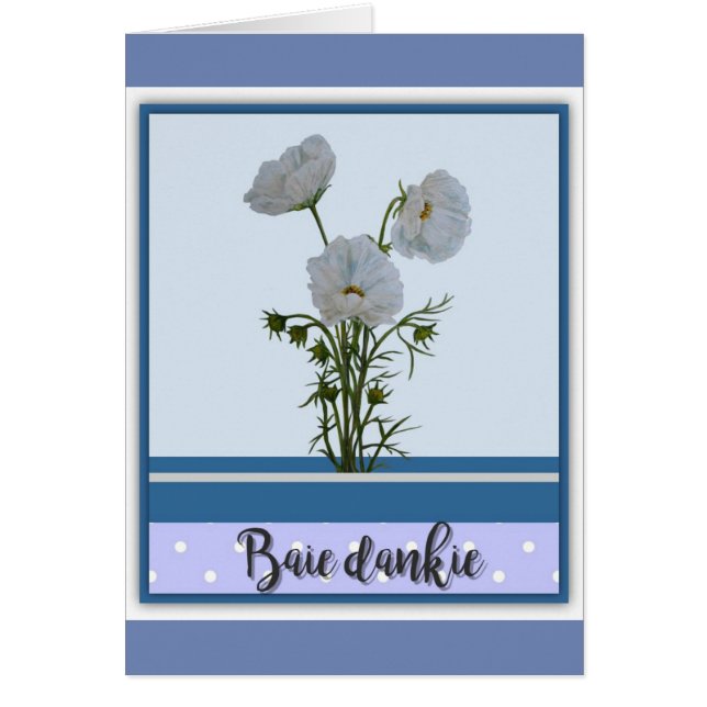 Baieのdankie (正面)