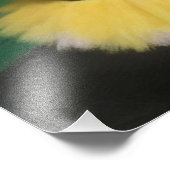 Bailarinas con preciosos colores vivos フォトプリント            (角)