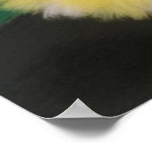 Bailarinas con preciosos colores vivos ポスター (角)