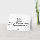 「Bailey」Whippet Photo Greeting Card カード (裏面)