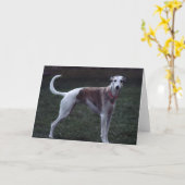 「Bailey」Whippet Photo Greeting Card カード (黄色い花)