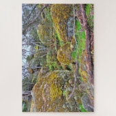 Bailey's Rocks granite大きい石（オーストラリア） ジグソーパズル (縦)