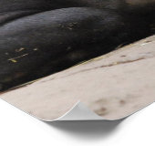 Bairdsタピールポスター ポスター (角)