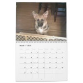 Bajaかヘラクレス カレンダー (3月 2026)